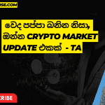 Crypto Market Update | Sinhala - 13 - 01 -2022