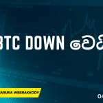 Crypto Market Update | Sinhala - 04- 02 -2023