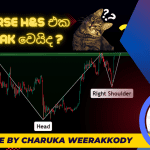 Crypto Market Update | Sinhala - 14- 03 -2023￼