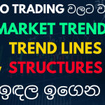 Important Basic Knowledge for trading | ZIGMAVERSE