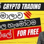 FREE CRYPTOCURRENCY TRADING COURSE IN SINHALA