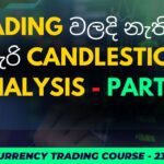 Candlestick Reading & Patterns | SINHALA | Part 01