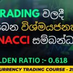 Fibonacci වලින් Trade කරමු | SINHALA