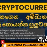 විශ්වවිද්‍යාල වල Cryptocurrency ගැන උගන්වනවද?
